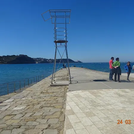 Apartman Heart Of Al