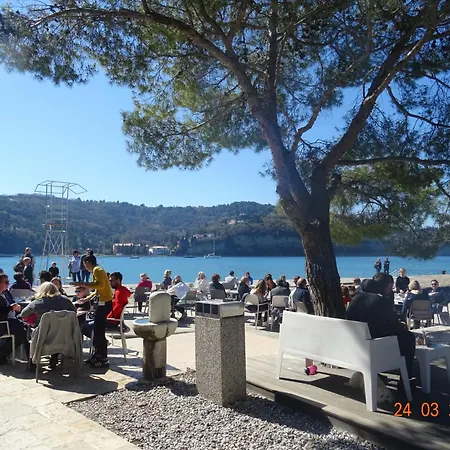 Apartment Heart Of Al Strunjan