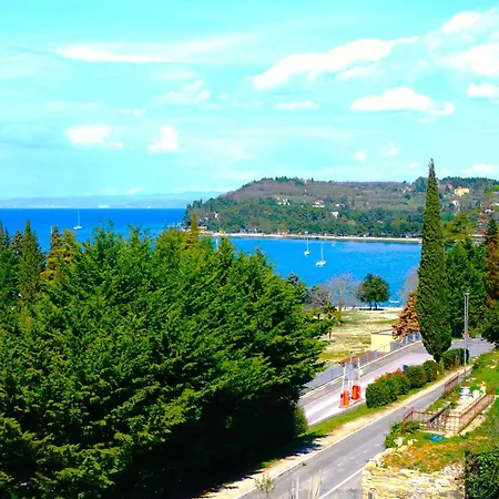 Heart Of Al Apartment