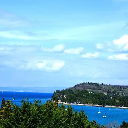 Heart Of Al Apartment *