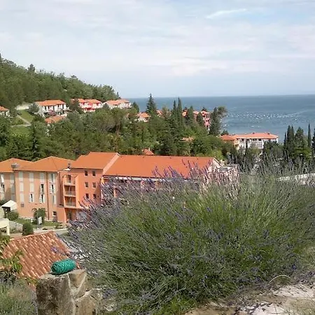 Heart Of Al Strunjan