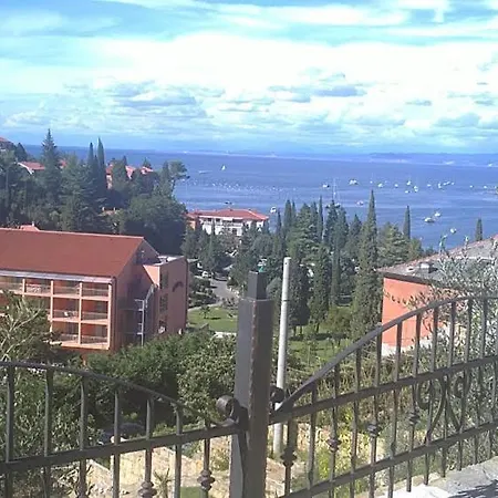 Heart Of Al * Strunjan